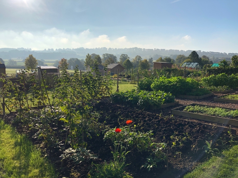 Blockley Allotments